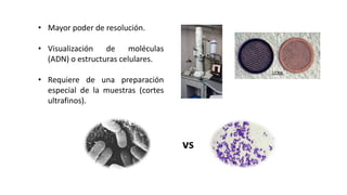MICROSCOPÍA ELECTRÓNICA
• Mayor poder de resolución.
• Visualización de moléculas
(ADN) o estructuras celulares.
• Requiere de una preparación
especial de la muestras (cortes
ultrafinos).
vs
 