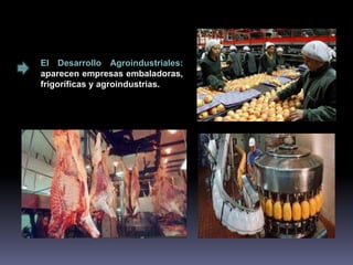 El Desarrollo Agroindustriales: 
aparecen empresas embaladoras, 
frigoríficas y agroindustrias. 
 