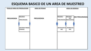 Buenas Prácticas de Almacenamiento y Manipulación de Productos ...