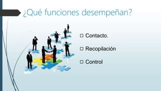 ¿Qué funciones desempeñan?
◻ Contacto.
◻ Recopilación
◻ Control
 