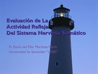 Evaluación de La Actividad Refleja  Del Sistema Nervioso Somático Ft. Rocío del Pilar Martínez Marín Universidad de Santander “UDES” 