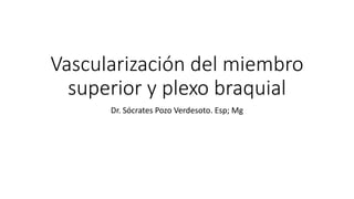 Vascularización del miembro
superior y plexo braquial
Dr. Sócrates Pozo Verdesoto. Esp; Mg
 