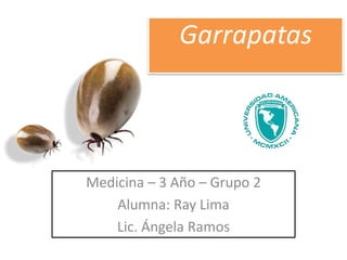 Garrapatas
Medicina – 3 Año – Grupo 2
Alumna: Ray Lima
Lic. Ángela Ramos
 