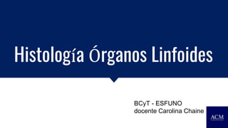 Histología Órganos Linfoides
BCyT - ESFUNO
docente Carolina Chaine
 