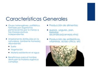Características Generales
 Producción de alimentos:
 quesos, yogures, pan,
bebidas
alcohólicas(cerveza,vino)
 Producción de antibióticos,
vitaminas, ácido cítrico, etc
 Grupo heterogéneo, polifilético,
formado por organismos
pertenecientes por lo menos a
tres líneasevolutivas
independientes
 Ampliamente distribuidos en la
naturaleza, (ambiente húmedo).
Abundando:
 Suelo
 Vegetación
 Materia existente en el agua
 Beneficiosos para el hombre
destruyen la materia orgánica
compleja
 
