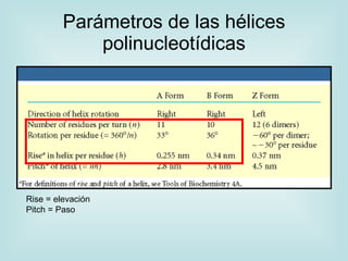 Parámetros de las hélices
             polinucleotídicas




Rise = elevación
Pitch = Paso
 