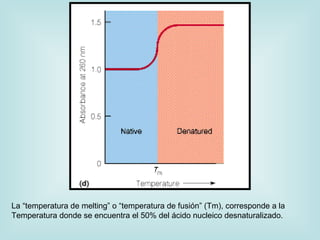 La “temperatura de melting” o “temperatura de fusión” (Tm), corresponde a la
Temperatura donde se encuentra el 50% del ácido nucleico desnaturalizado.
 