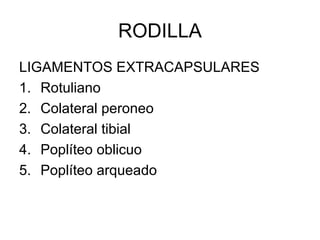RODILLA
LIGAMENTOS EXTRACAPSULARES
1. Rotuliano
2. Colateral peroneo
3. Colateral tibial
4. Poplíteo oblicuo
5. Poplíteo arqueado
 