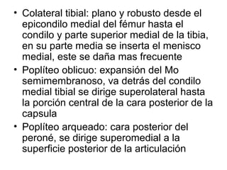 • Colateral tibial: plano y robusto desde el
epicondilo medial del fémur hasta el
condilo y parte superior medial de la tibia,
en su parte media se inserta el menisco
medial, este se daña mas frecuente
• Poplíteo oblicuo: expansión del Mo
semimembranoso, va detrás del condilo
medial tibial se dirige superolateral hasta
la porción central de la cara posterior de la
capsula
• Poplíteo arqueado: cara posterior del
peroné, se dirige superomedial a la
superficie posterior de la articulación
 
