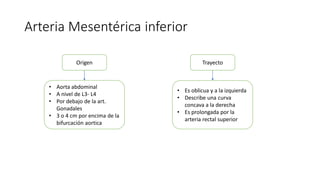 Vasos Mesentéricos inferiores | PDF