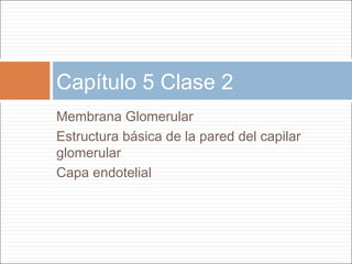 Capítulo 5 Clase 2
Membrana Glomerular
Estructura básica de la pared del capilar
glomerular
Capa endotelial
 