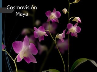 Cosmovisión
Maya
 