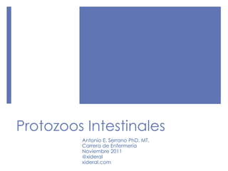 Protozoos Intestinales
Antonio E. Serrano PhD. MT.
Carrera de Enfermería
Noviembre 2011
@xideral
xideral.com
 