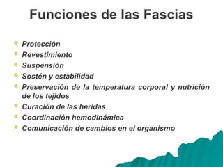 Funciones de las Fascias
 Protección
 Revestimiento
 Suspensión
 Sostén y estabilidad
 Preservación de la temperatura corporal y nutrición
de los tejidos
 Curación de las heridas
 Coordinación hemodinámica
 Comunicación de cambios en el organismo
 