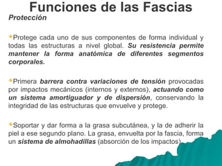 Funciones de las Fascias
Protección
Protege cada uno de sus componentes de forma individual y
todas las estructuras a nivel global. Su resistencia permite
mantener la forma anatómica de diferentes segmentos
corporales.
Primera barrera contra variaciones de tensión provocadas
por impactos mecánicos (internos y externos), actuando como
un sistema amortiguador y de dispersión, conservando la
integridad de las estructuras que envuelve y protege.
Soportar y dar forma a la grasa subcutánea, y la de adherir la
piel a ese segundo plano. La grasa, envuelta por la fascia, forma
un sistema de almohadillas (absorción de los impactos).
 