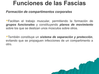 Funciones de las Fascias
Formación de compartimentos corporales
Facilitan el trabajo muscular, permitiendo la formación de
grupos funcionales y constituyendo planos de movimiento
sobre los que se deslizan unos músculos sobre otros.
También constituye un sistema de separación y protección,
evitando que se propaguen infecciones de un compartimento a
otro.
 