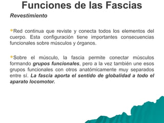 Funciones de las Fascias
Revestimiento
Red continua que reviste y conecta todos los elementos del
cuerpo. Esta configuración tiene importantes consecuencias
funcionales sobre músculos y órganos.
Sobre el músculo, la fascia permite conectar músculos
formando grupos funcionales, pero a la vez también une esos
grupos funcionales con otros anatómicamente muy separados
entre sí. La fascia aporta el sentido de globalidad a todo el
aparato locomotor.
 