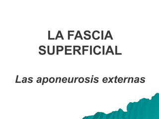 LA FASCIA
SUPERFICIAL
Las aponeurosis externas
 