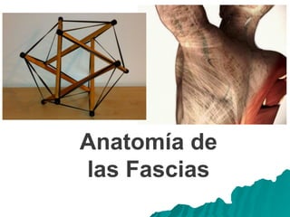 Anatomía de
las Fascias
 