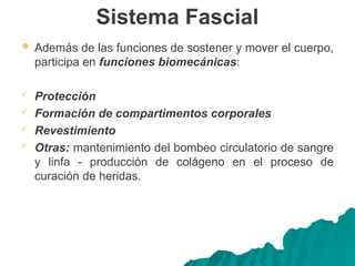 Sistema Fascial
 Además de las funciones de sostener y mover el cuerpo,
participa en funciones biomecánicas:
 Protección
 Formación de compartimentos corporales
 Revestimiento
 Otras: mantenimiento del bombeo circulatorio de sangre
y linfa - producción de colágeno en el proceso de
curación de heridas.
 