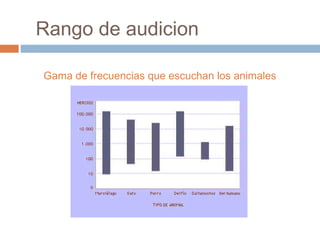 Rango de audicion
Gama de frecuencias que escuchan los animales

 