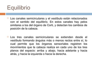 Equilibrio




Los canales semicirculares y el vestíbulo están relacionados
con el sentido del equilibrio. En estos canales hay pelos
similares a los del órgano de Corti, y detectan los cambios de
posición de la cabeza.
Los tres canales semicirculares se extienden desde el
vestíbulo formando ángulos más o menos rectos entre sí, lo
cual permite que los órganos sensoriales registren los
movimientos que la cabeza realiza en cada uno de los tres
planos del espacio: arriba y abajo, hacia adelante y hacia
atrás, y hacia la izquierda o hacia la derecha.

 