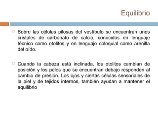 Equilibrio




Sobre las células pilosas del vestíbulo se encuentran unos
cristales de carbonato de calcio, conocidos en lenguaje
técnico como otolitos y en lenguaje coloquial como arenilla
del oído.
Cuando la cabeza está inclinada, los otolitos cambian de
posición y los pelos que se encuentran debajo responden al
cambio de presión. Los ojos y ciertas células sensoriales de
la piel y de tejidos internos, también ayudan a mantener el
equilibrio

 