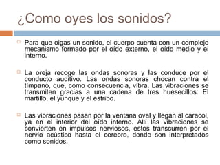 ¿Como oyes los sonidos?






Para que oigas un sonido, el cuerpo cuenta con un complejo
mecanismo formado por el oído externo, el oído medio y el
interno.
La oreja recoge las ondas sonoras y las conduce por el
conducto auditivo. Las ondas sonoras chocan contra el
tímpano, que, como consecuencia, vibra. Las vibraciones se
transmiten gracias a una cadena de tres huesecillos: El
martillo, el yunque y el estribo.
Las vibraciones pasan por la ventana oval y llegan al caracol,
ya en el interior del oído interno. Allí las vibraciones se
convierten en impulsos nerviosos, estos transcurren por el
nervio acústico hasta el cerebro, donde son interpretados
como sonidos.

 