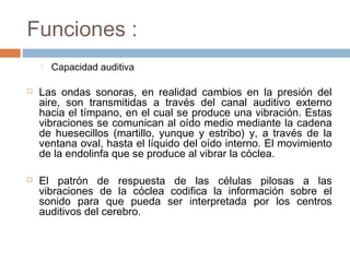 Funciones :






Capacidad auditiva

Las ondas sonoras, en realidad cambios en la presión del
aire, son transmitidas a través del canal auditivo externo
hacia el tímpano, en el cual se produce una vibración. Estas
vibraciones se comunican al oído medio mediante la cadena
de huesecillos (martillo, yunque y estribo) y, a través de la
ventana oval, hasta el líquido del oído interno. El movimiento
de la endolinfa que se produce al vibrar la cóclea.
El patrón de respuesta de las células pilosas a las
vibraciones de la cóclea codifica la información sobre el
sonido para que pueda ser interpretada por los centros
auditivos del cerebro.

 