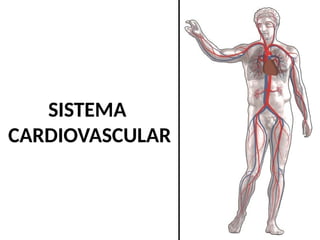 SISTEMA
CARDIOVASCULAR
 