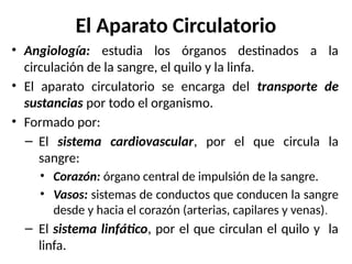 El Aparato Circulatorio
• Angiología: estudia los órganos destinados a la
circulación de la sangre, el quilo y la linfa.
• El aparato circulatorio se encarga del transporte de
sustancias por todo el organismo.
• Formado por:
– El sistema cardiovascular, por el que circula la
sangre:
• Corazón: órgano central de impulsión de la sangre.
• Vasos: sistemas de conductos que conducen la sangre
desde y hacia el corazón (arterias, capilares y venas).
– El sistema linfático, por el que circulan el quilo y la
linfa.
 