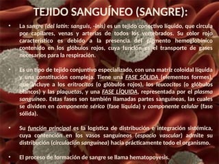 TEJIDO SANGUÍNEO (SANGRE):
• La sangre (del latín: sanguis, -ĭnis) es un tejido conectivo líquido, que circula
por capilares, venas y arterias de todos los vertebrados. Su color rojo
característico es debido a la presencia del pigmento hemoglobínico
contenido en los glóbulos rojos, cuya función es el transporte de gases
necesarios para la respiración.
• Es un tipo de tejido conjuntivo especializado, con una matriz coloidal líquida
y una constitución compleja. Tiene una FASE SÓLIDA (elementos formes),
que incluye a los eritrocitos (o glóbulos rojos), los leucocitos (o glóbulos
blancos) y las plaquetas, y una FASE LÍQUIDA, representada por el plasma
sanguíneo. Estas fases son también llamadas partes sanguíneas, las cuales
se dividen en componente sérico (fase líquida) y componente celular (fase
sólida).
• Su función principal es la logística de distribución e integración sistémica,
cuya contención en los vasos sanguíneos (espacio vascular) admite su
distribución (circulación sanguínea) hacia prácticamente todo el organismo.
• El proceso de formación de sangre se llama hematopoyesis.
 