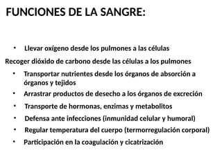FUNCIONES DE LA SANGRE:
• Llevar oxígeno desde los pulmones a las células
Recoger dióxido de carbono desde las células a los pulmones
• Transportar nutrientes desde los órganos de absorción a
órganos y tejidos
• Arrastrar productos de desecho a los órganos de excreción
• Defensa ante infecciones (inmunidad celular y humoral)
• Regular temperatura del cuerpo (termorregulación corporal)
• Transporte de hormonas, enzimas y metabolitos
• Participación en la coagulación y cicatrización
 