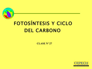 FOTOSÍNTESIS Y CICLO DEL CARBONO     CLASE Nº 27 
