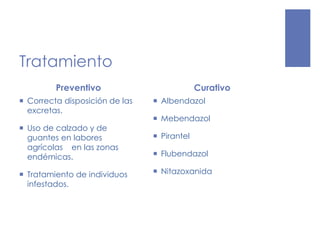 Tratamiento
Preventivo
 Correcta disposición de las
excretas.
 Uso de calzado y de
guantes en labores
agrícolas en las zonas
endémicas.
 Tratamiento de individuos
infestados.
Curativo
 Albendazol
 Mebendazol
 Pirantel
 Flubendazol
 Nitazoxanida
 