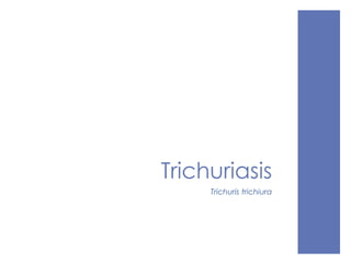 Trichuriasis
Trichuris trichiura
 