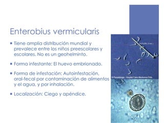 Enterobius vermicularis
 Tiene amplia distribución mundial y
prevalece entre los niños preescolares y
escolares. No es un geohelminto.
 Forma infestante: El huevo embrionado.
 Forma de infestación: Autoinfestación,
oral-fecal por contaminación de alimentos
y el agua, y por inhalación.
 Localización: Ciego y apéndice.
 