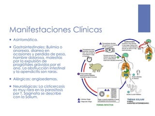 Manifestaciones Clínicas
 Asintomática.
 Gastrointestinales: Bulimia o
anorexia, diarrea en
ocasiones y perdida de peso,
hambre dolorosa, molestias
por la expulsión de
proglótides grávidos por el
ano. La obstrucción intestinal
y la apendicitis son raras.
 Alérgicas: angioedemas.
 Neurológicas: La cisticercosis
es muy rara en la parasitosis
por T. Saginata se describe
con la Solium.
 