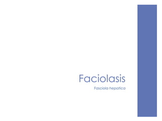 Faciolasis
Fasciola hepatica
 
