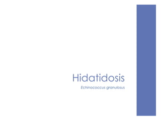 Hidatidosis
Echinococcus granulosus
 