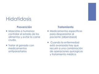 Hidatidosis
Prevención
 Mascotas o humanos:
controlar el estado de los
alimentos y evitar la carne
cruda.
 Tratar al ganado con
medicamentos
antiparasitarios
Tratamiento
 Medicamentos específicos
para desparasitar al
paciente (albendazol)
 Cuando la enfermedad
está avanzada hay que
recurrir a una combinación
de operaciones quirúrgicas
y tratamiento médico
 