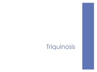 Triquinosis
 