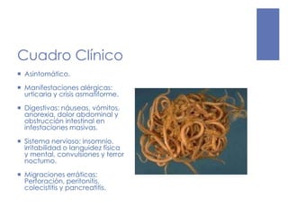 Cuadro Clínico
 Asintomático.
 Manifestaciones alérgicas:
urticaria y crisis asmatiforme.
 Digestivas: náuseas, vómitos,
anorexia, dolor abdominal y
obstrucción intestinal en
infestaciones masivas.
 Sistema nervioso: insomnio,
irritabilidad o languidez física
y mental, convulsiones y terror
nocturno.
 Migraciones erráticas:
Perforación, peritonitis,
colecistitis y pancreatitis.
 