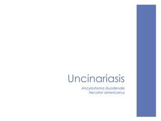Uncinariasis
Ancylostoma duodenale
Necator americanus
 