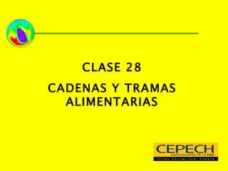 CLASE 28 CADENAS Y TRAMAS ALIMENTARIAS 