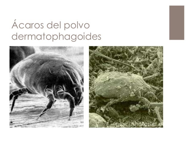 Curso de microbiologia