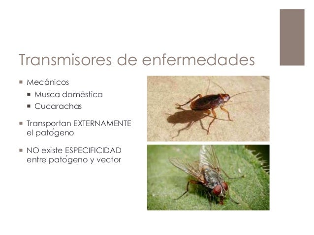 Curso de microbiologia