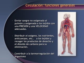 Circulación: funciones generales
– Enviar sangre no oxigenada al
pulmón y oxigenada a los tejidos con
una PRESIÓN y una VELOCIDAD
adecuadas.
– Distribuir el oxígeno, los nutrientes,
anticuerpos, etc.. a los tejidos y
recoger los productos de desecho y
el dióxido de carbono para su
eliminación.
– Contribuir a la termorregulación del
organismo
 