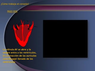 La válvula AV se abre y la
sangre entra a los ventrículos,
la contracción de las aurículas
contribuyeal llenado de los
ventrículos
¿Cómo trabaja el corazón?
PASO DOS
 