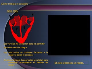 ¿Cómo trabaja el corazón?
Las válvulas AV se cierran para no permitir
Que retroceda la sangre.
Los ventrículos se contraen forzando a la
sangre a dejar el corazón.
Al mismo tiempo, las aurículas se relajan para
comenzar nuevamente el llenado de
sangre
El ciclo entonces se repite.
PASO TRES
 